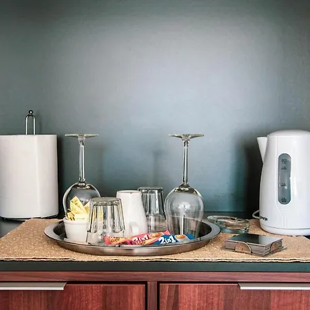 Nikola Tesla Belgrade